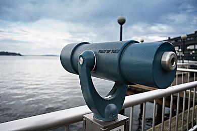 《猫咪斗恶龙3》新预告 明年正式发售